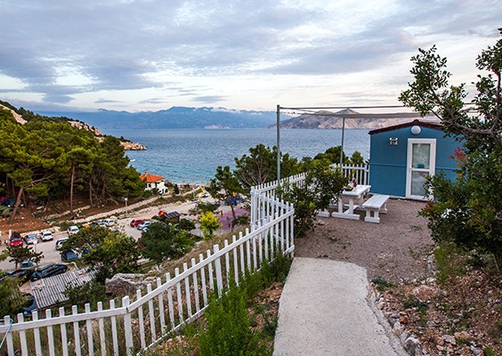 Bunculuka Home for 2