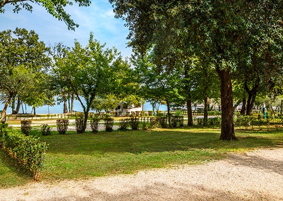 Marina Comfort Mare