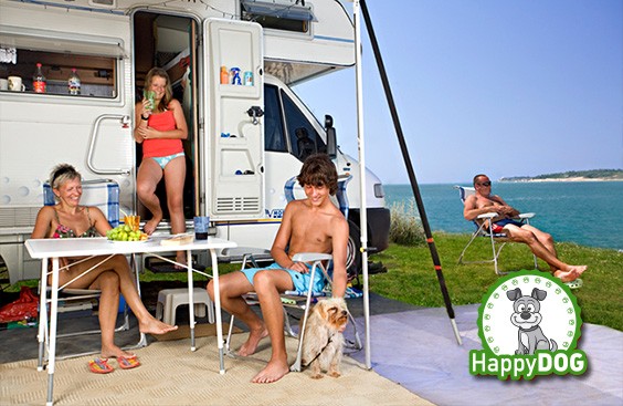 Happy Dog Luxury Mare