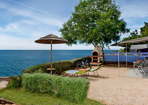 Luxury Mare